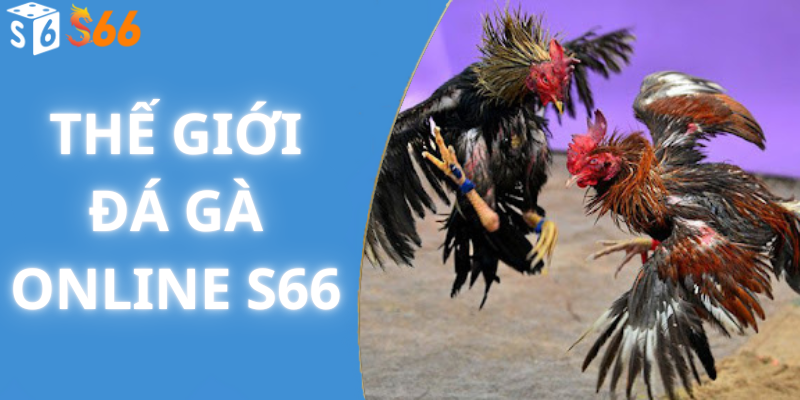 Thế giới đá gà online s66