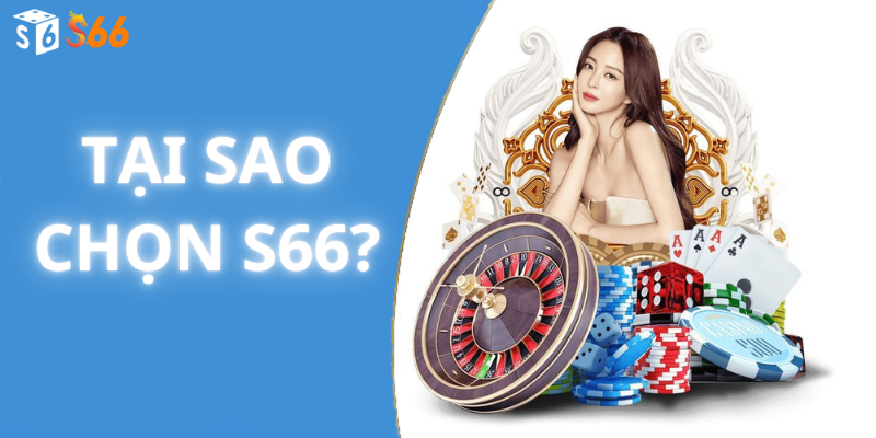 Tại sao chọn s66?