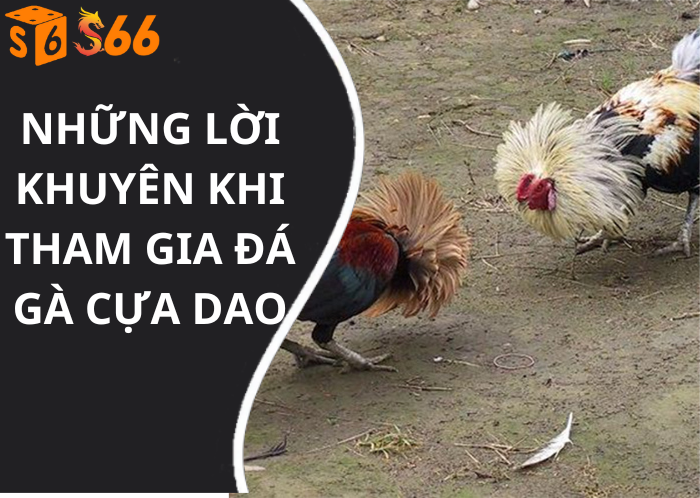 Những lời khuyên khi tham gia Đá gà cựa dao